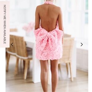 Petalled Pink Backless Dress